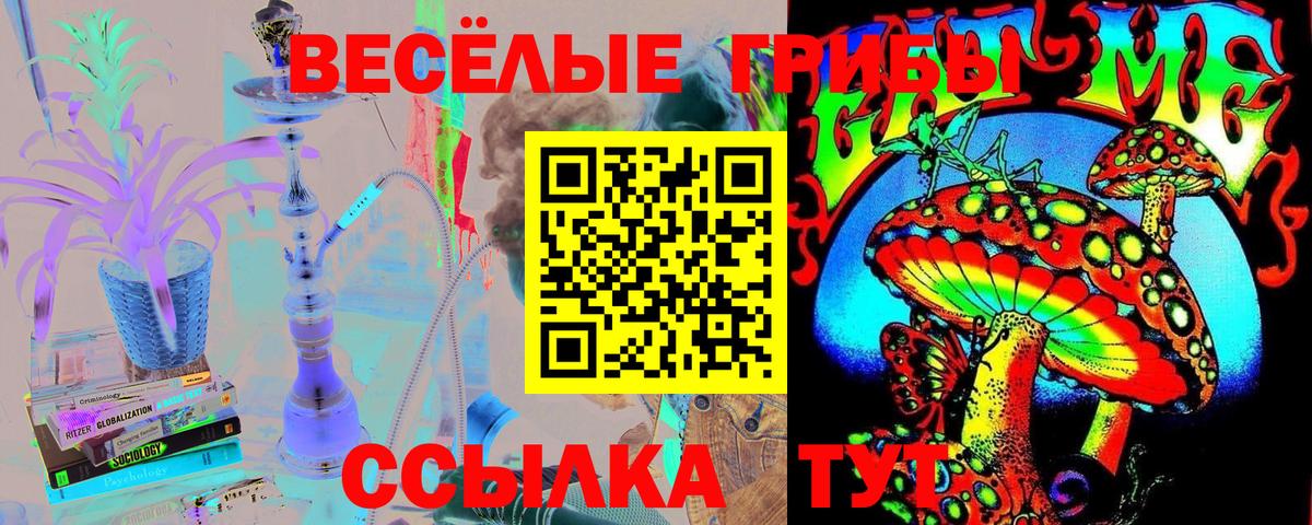 Псилоцибиновые грибы MAGIC MUSHROOMS  Галлюциногенные грибы GOLDEN TEACHER  Вход с VPN  Волжск 